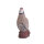 Pernice di roccia IBB 3D - Gallo