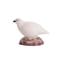 IBB 3D Pernice bianca - Gallina