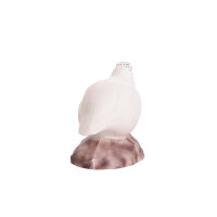 IBB 3D Pernice bianca - Gallina