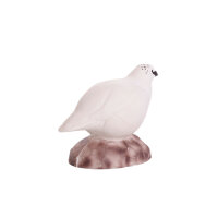 IBB 3D Pernice bianca - Gallina