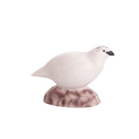 IBB 3D Pernice bianca - Gallina