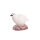 IBB 3D Pernice bianca - Gallina