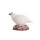 IBB 3D Pernice bianca - Gallina