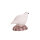 IBB 3D Pernice bianca - Gallina