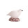 IBB 3D Pernice bianca - Gallina