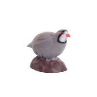 IBB 3D Pernice di roccia - Gallina