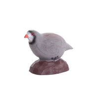 IBB 3D Pernice di roccia - Gallina