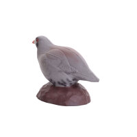 IBB 3D Pernice di roccia - Gallina