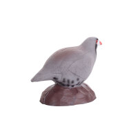 IBB 3D Pernice di roccia - Gallina