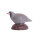 IBB 3D Pernice di roccia - Gallina