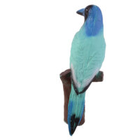 IBB 3D Ghiandaia verde