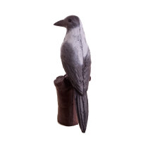 Corvo con cappuccio IBB 3D
