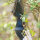 Riser | DRAKE ARCHERY ELITE Nightfall - 17 pollici - ILF