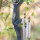 Riser | DRAKE ARCHERY ELITE Nightfall - 17 pollici - ILF
