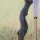 DRAKE ARCHERY ELITE Dust - 60 pollici - 30-60 lbs - Arco ricurvo