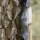 DRAKE ARCHERY ELITE Dust - 60 pollici - 30-60 lbs - Arco ricurvo