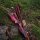 JACKALOPE - Red Beryl Hunter - 60 pollici - 20-50 lbs - Arco ricurvo Take Down
