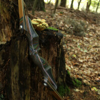 JACKALOPE - Tourmaline Hunter - 60 pollici - 20-50 lbs - Arco ricurvo Take Down