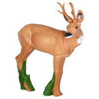IBB 3D roebuck - sguardo a destra