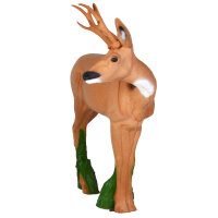 IBB 3D roebuck - sguardo a destra