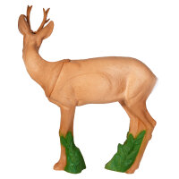 IBB 3D roebuck - sguardo a destra
