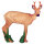 IBB 3D roebuck - sguardo a destra