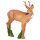 IBB 3D roebuck - sguardo a destra