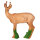 IBB 3D roebuck - sguardo a destra