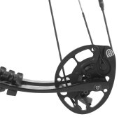 HOYT Invicta 40 DCX - Arco compound - 60-70 lbs - Mano...