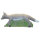 IBB Volpe iberica 3D - allacciatura