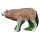 IBB Lupo europeo 3D