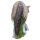 IBB Lupo europeo 3D