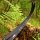 Wurfarme | JACKALOPE Zircon - Carbon/Foam - ILF - 25-50 lbs