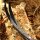 Flettenti | JACKALOPE Zircon - Schiuma - ILF - 24-44 lbs