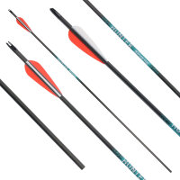 41-55 lbs | [CONSIGLIO DI PREZZO] Freccia di carbonio | SPHERE Hunter Pro - con vanes | Spine 400 | 32 pollici