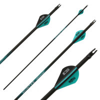 [Freccia completa [SPHERE Hunter Pro - Carbonio