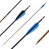 36-40 lbs | [Empfehlung] Carbonpfeil | MagnetoSPHERE Slim...