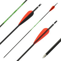 26-30 lbs | [PREISTIPP] Carbonpfeil | SPHERE Slimline Pro...