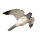FRANZBOGEN - Fliegender Wanderfalke