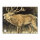 Bersaglio | Immagine di animali - cervo