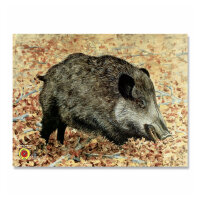 Bersaglio | immagine di animali - cinghiale