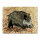 Zielscheibenauflage | Tierbild - Wildschwein