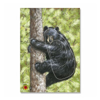 Bersaglio | Immagine di animali - orso nero