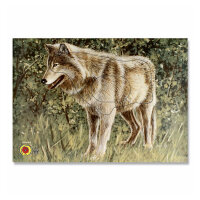 Bersaglio | Immagine di animali - lupo
