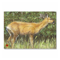 Bersaglio | immagine di animale - cervo dalla coda bianca