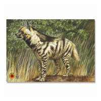 Bersaglio | Immagine di animali - Iena