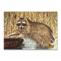 Zielscheibenauflage | Tierbild - Waschbär