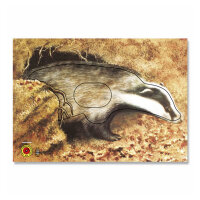 Bersaglio | Immagine di animali - tasso