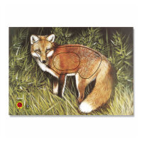 Bersaglio | Immagine di animali - volpe