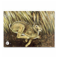 Bersaglio | immagine di animali - lepre